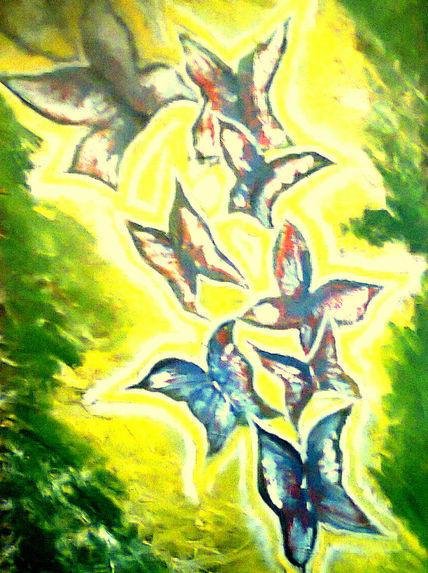 Mariposas