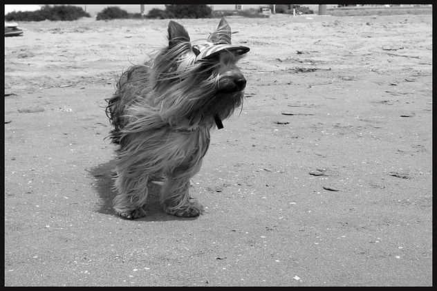 En la playa