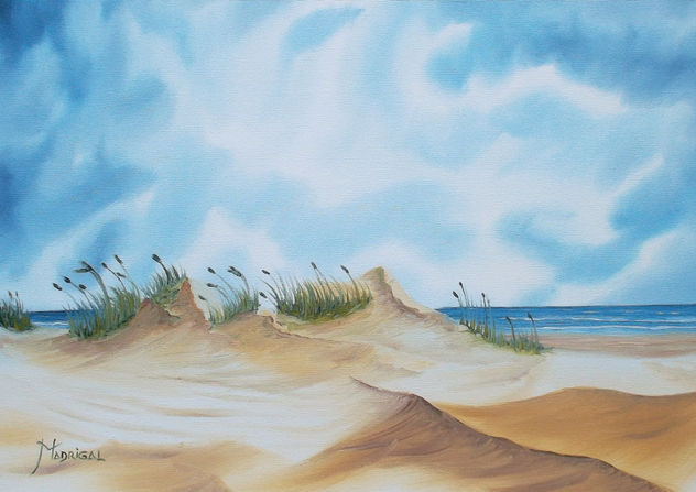 Dunas en la playa