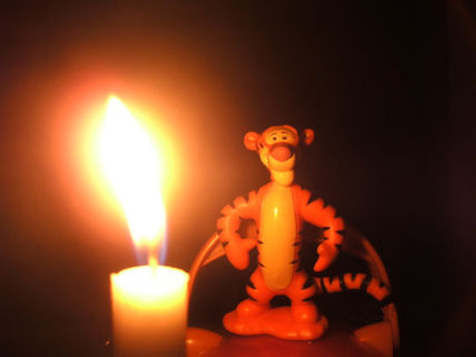 La vela y el tigre
