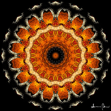Mandala #4
