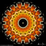 Mandala #8