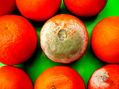 Colores Saturados IV