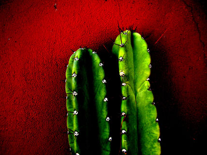 Colores Saturados V