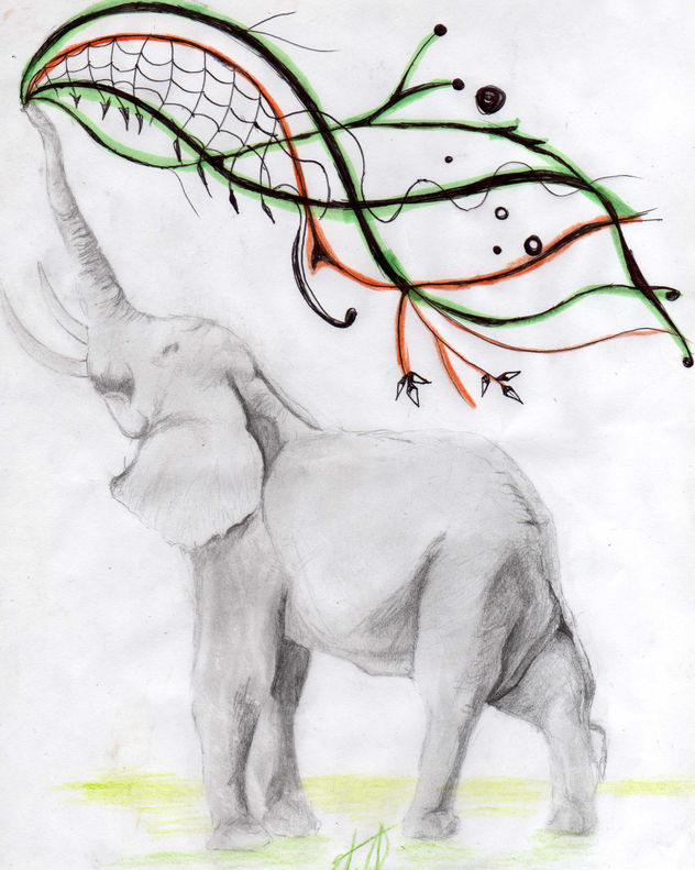 Elefante