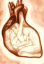 el corazon