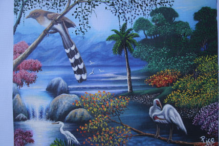 Colores de costa rica.