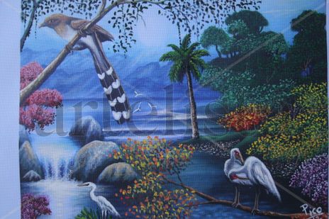 Colores de costa rica.