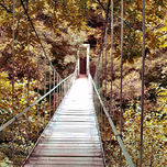 FOTOGRAFIA thumbnail 2