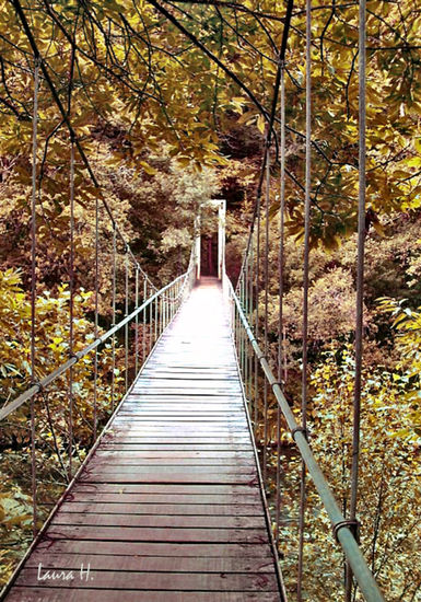 El puente Nature Color (Digital)