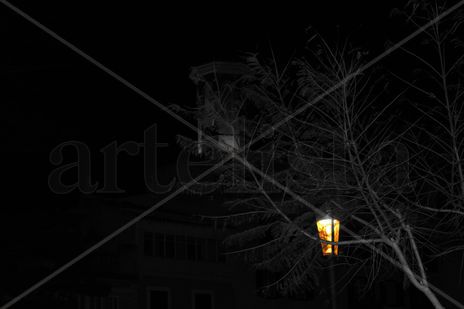 Le nuit