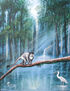 MONOS DE COSTA RICA.