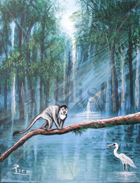 Monos de costa rica.