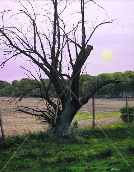 El árbol seco del Pinar Oil Canvas Landscaping