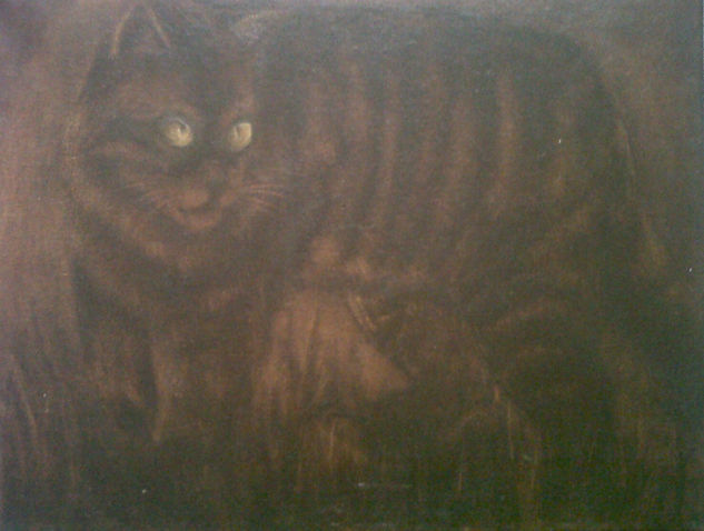 Gato Oil Canvas Animals