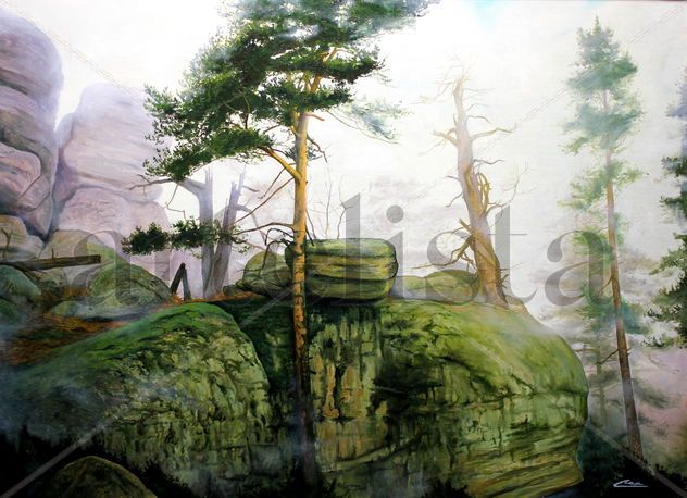 Arboles en la niebla 2 (Castroviejo)