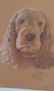 Retrato de perrito Golfo