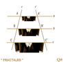 * " FRACTALES ( Q#nº38 )