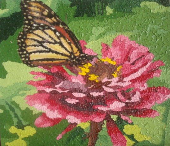 ZINIAS Y MARIPOSA