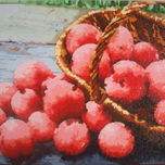 BODEGONES thumbnail 1