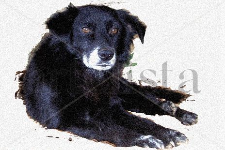 Tito