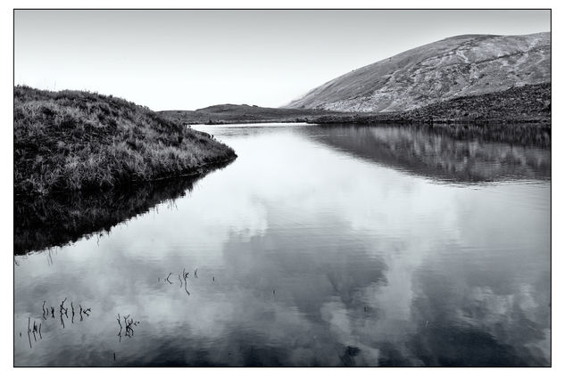 Laguna 2 Naturaleza Blanco y Negro (Digital)