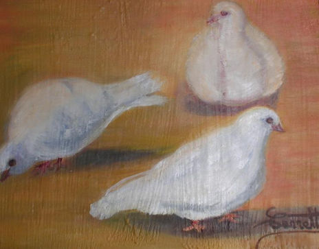 Palomas