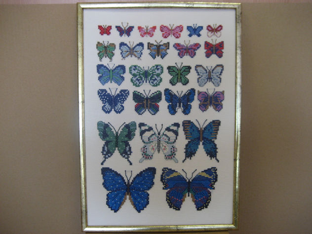 Cuadro punto de cruz - Colección de mariposas
