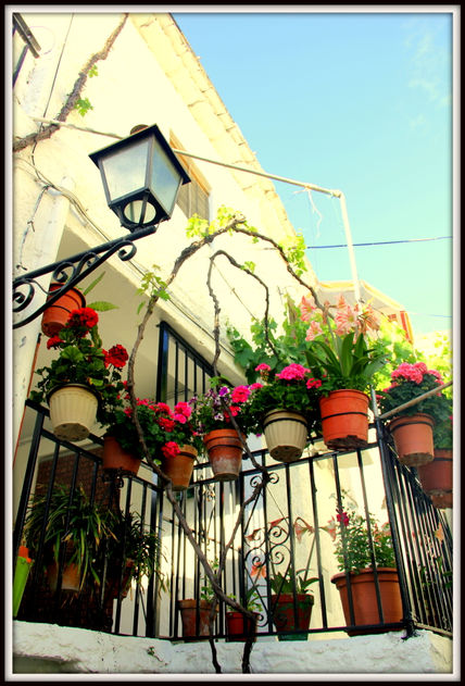 Balcón de geranios...