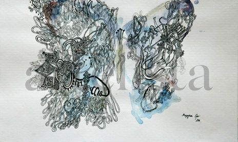 Butterflies collection