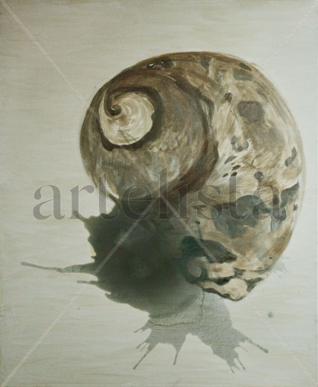 Silver shell