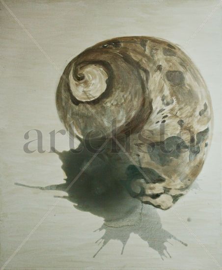 Silver shell Acrylic Canvas Animals