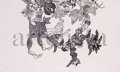 Voices collection