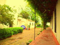Techito verde