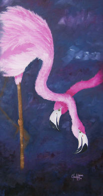 Flamingos