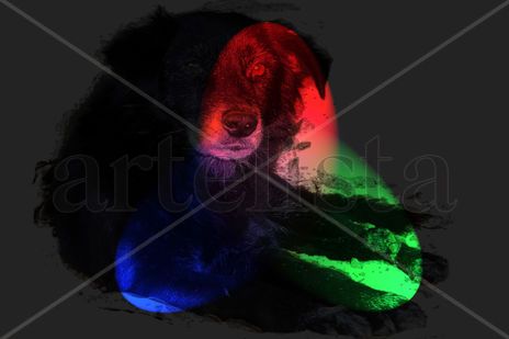 Tito a tres luces