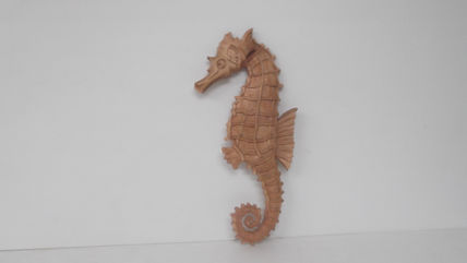 Caballito de mar