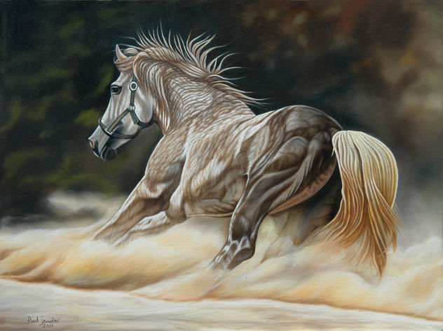 "Desesperado", 77 x 100.2 Oleo/Lienzo