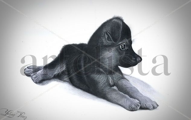 Puchy Dog Graphite