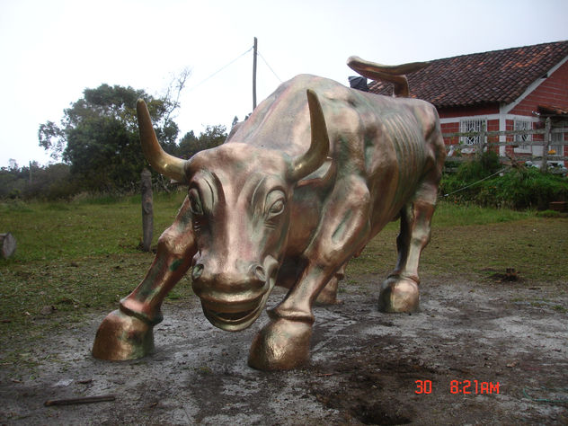 TORO