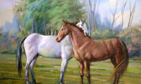 Animales