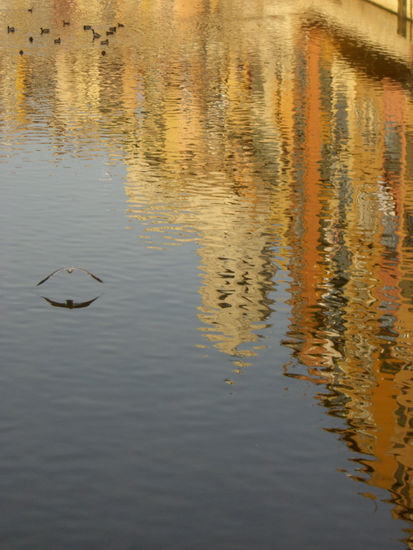 Rozando el reflejo de Gerona 