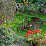 flores thumbnail 1