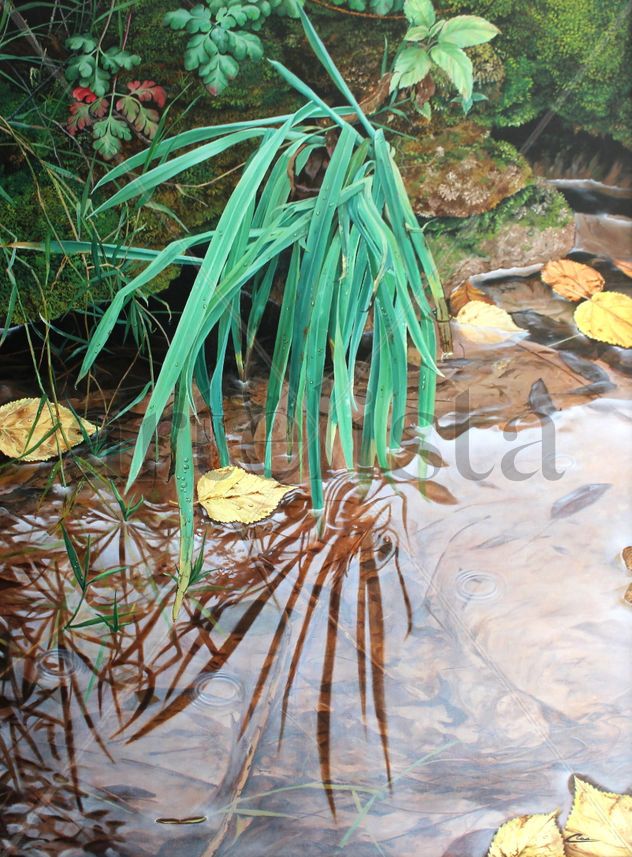 Naturaleza viva