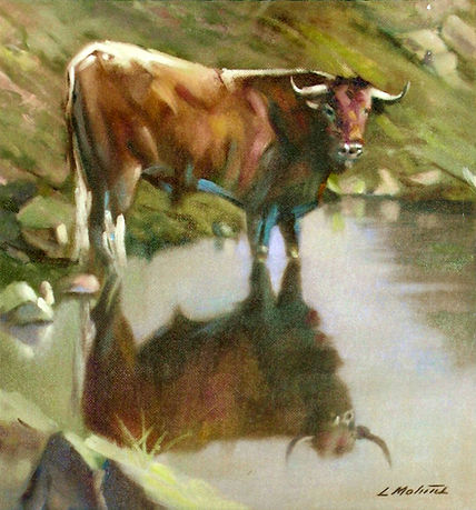 El toro y su reflejo