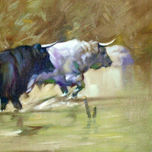 Toros thumbnail 2