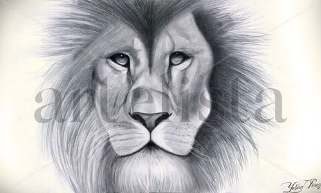The Lion