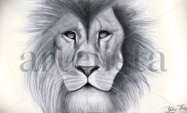 The Lion Graphite