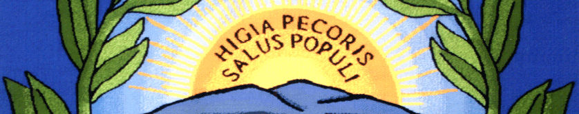 Imagen de portada