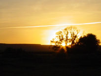 Atardecer en el campo